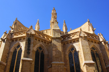 palma de mallorca
