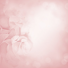Pink background with rose