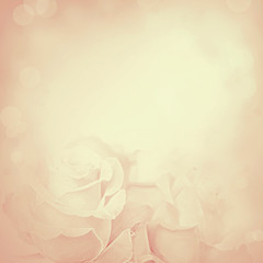 Vintage background with rose flowers