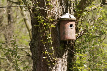 Birdhouse