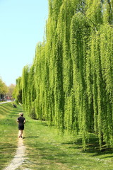 giornata di primavera