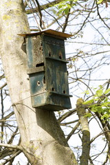 Birdhouse