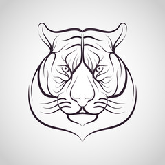 Tiger anger. Vector illustration of a tiger head.