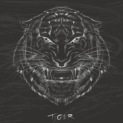 Tiger drawing with chalk on blackboard