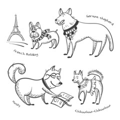 Breeds of dogs set.