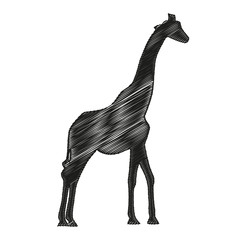 Giraffe Silhouette, Tier, Logo