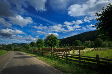 Fototapeta na wymiar Traditional romanian village, viewed on a clear summer day