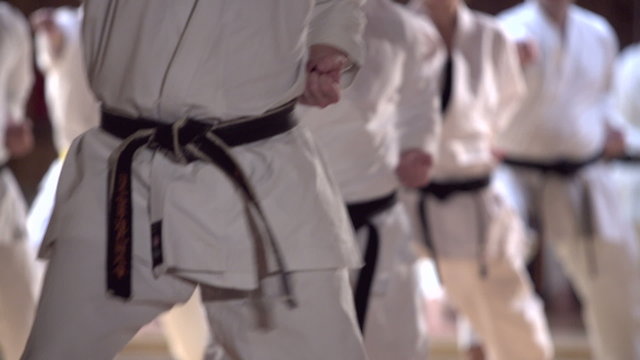 group of people practicing karate kata