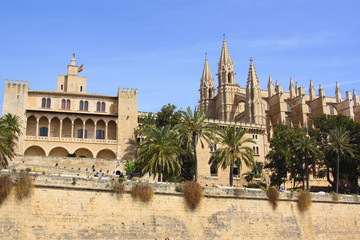 palma de mallorca