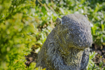Stone beaver among garden plants