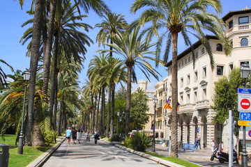 palma de mallorca © fotobild40