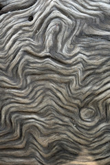 Fototapeta premium Maserung im Holz