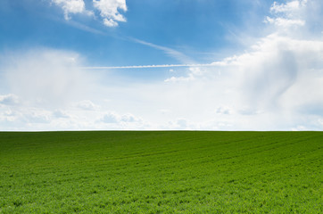 grass field and blue sky