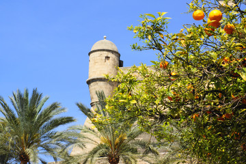 palma de mallorca © fotobild40