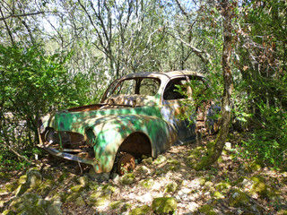 Derelict Car in Forest