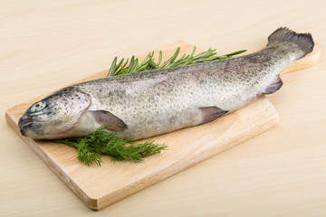 Raw fresh trout