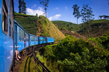 train from Nuwara Eliya to Kandy among tea plantations in the hi