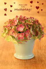 alles liebe