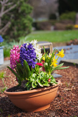 Grave with spring flowers