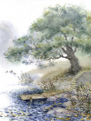 Watercolor landscape. An old tree near the pond