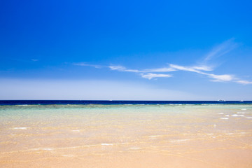 tropical sea