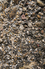 Old weathered grunge concrete pole surface closeup as background