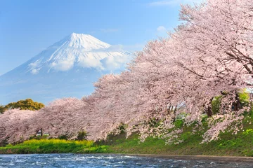 Fotobehang Japan Kersenbloesems of Sakura en Mountain Fuji op de achtergrond