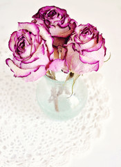 Romantic dry roses in a glass vase. Copy space.