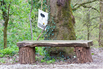 old bench in the park
