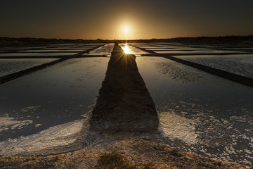 Saline de guérande