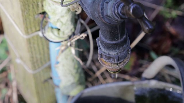 Close Up of a Dripping Tap in to a Watering Can - Rustic Scene