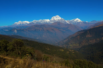 Machhapuchchhre mountain - Fish Tail in English is a mountain in