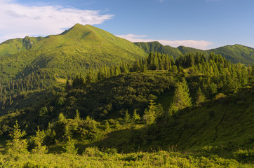 Obraz premium Summer landscape in the mountains