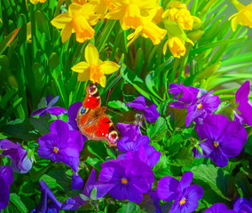 Fototapety na wymiar - Fototapeta24.pl