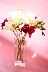Beautiful spring flowers on pink background