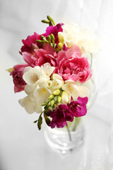 Beautiful spring flowers, closeup