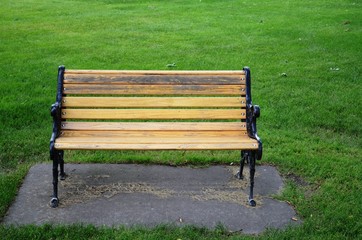 Solitary bench in the yard