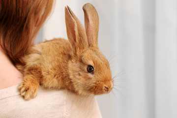 Woman holding little cute rabbit on light background