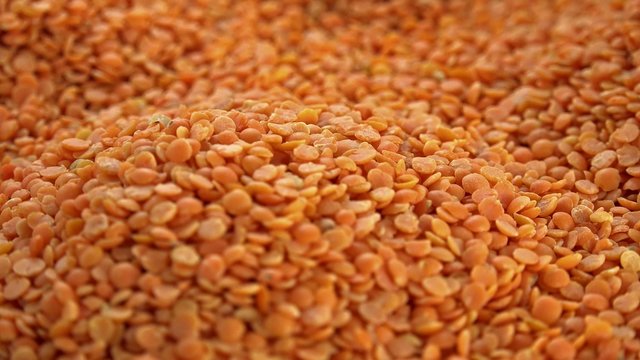 Rotating Red Lentils (seamless loopable 4K footage)