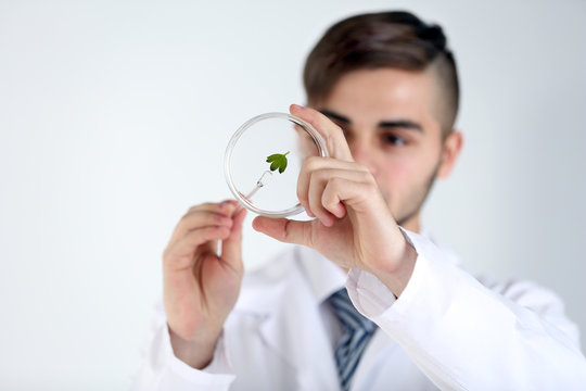 Man holding Petri dish with green leaf, close up
