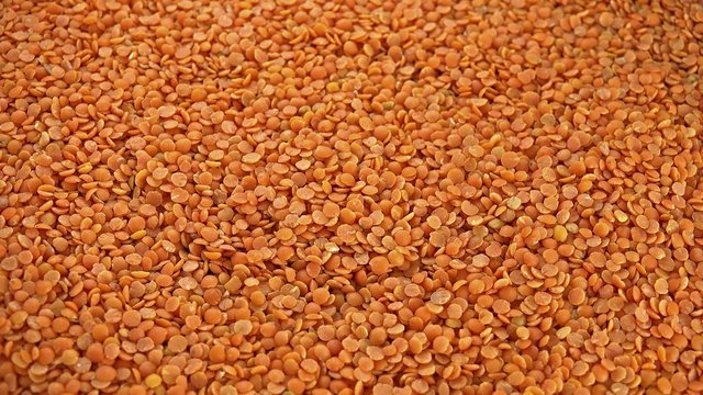 Portion of Red Lentils (not seamless loopable 4K UHD footage)