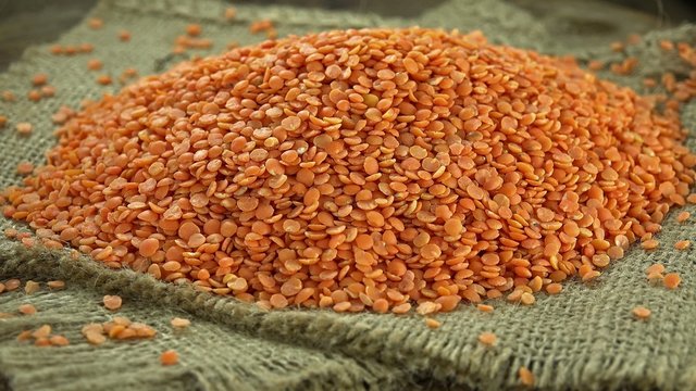 Heap of Red Lentils (not loopable)