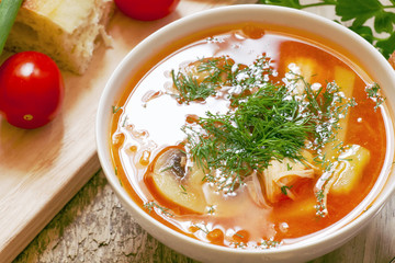 Traditional Russian cuisine - vegetable soup with cabbage