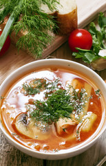 Traditional Russian cuisine - vegetable soup with cabbage