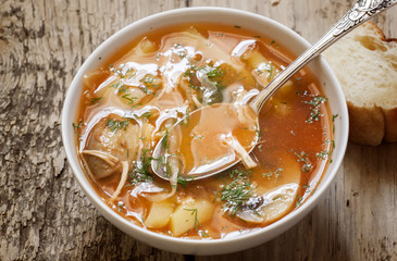 Traditional Russian cuisine - vegetable soup with cabbage