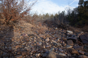 Dried River Bed Scene
