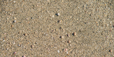beach sand closeup background
