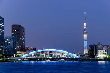 Foto op Plexiglas Beutiful view of Tokyo Skyline and Sumida Reiver in the evening © Wiennat M