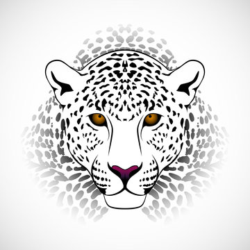Vector leopard