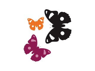 Vector Butterfly - Icon